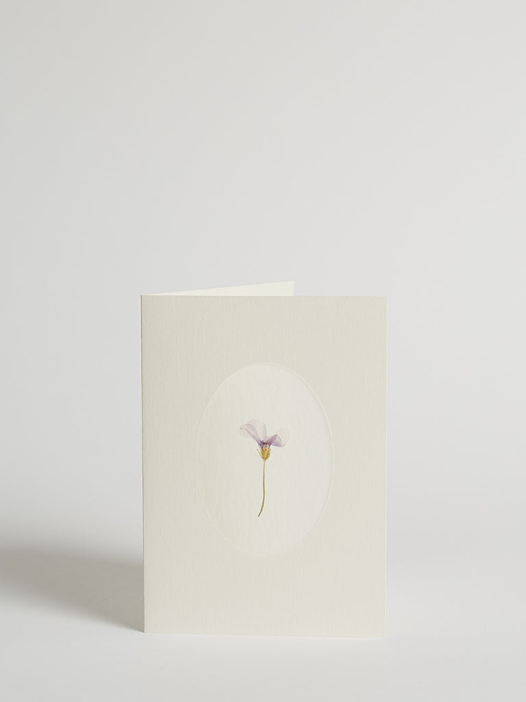 MR Studio London Pressed Flower Cards with Oxalis Flower in Oval Window