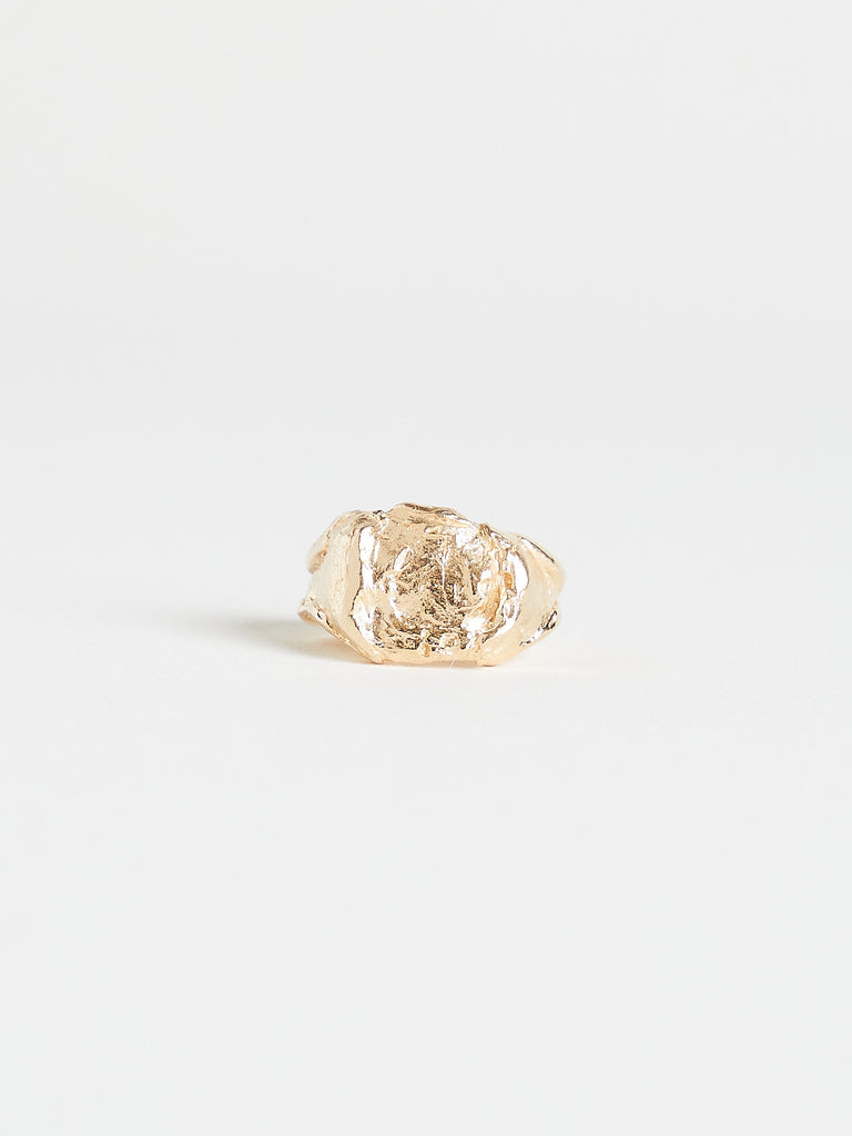 Alice Waese - Signet in 14K Yellow Gold