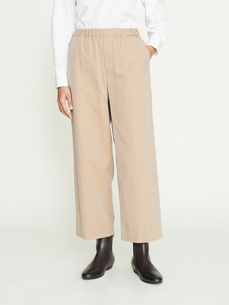 Arts & Science Standard Easy Wide Pants in Dark Beige