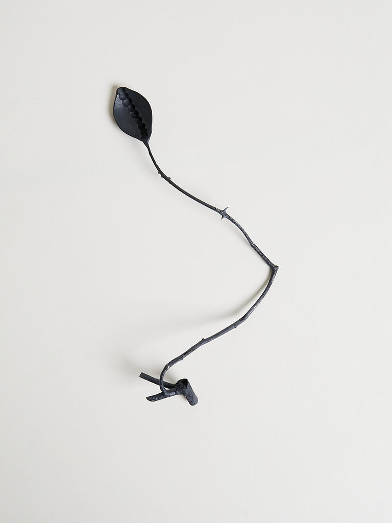 Gabi Veit - Creatura à 360 1