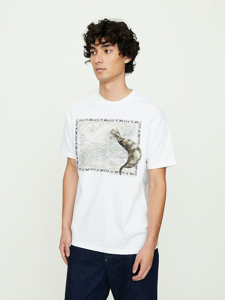 Niceness - U.Bernard Tee in Tsuchinoko