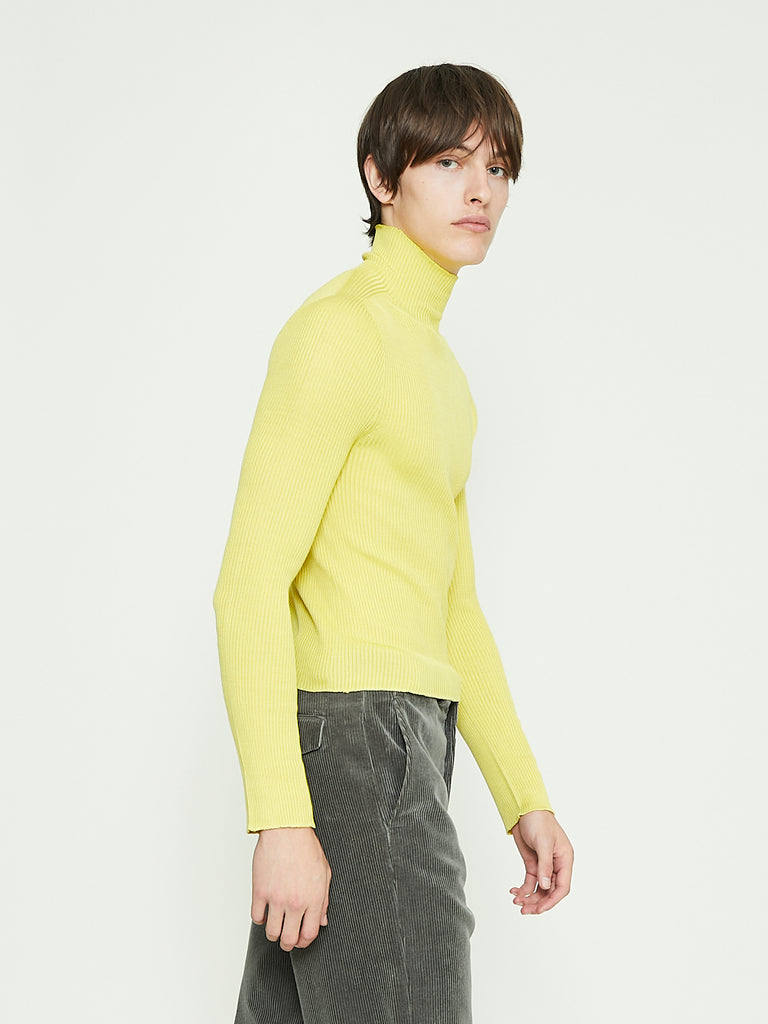 Rier Turtleneck in Yellow