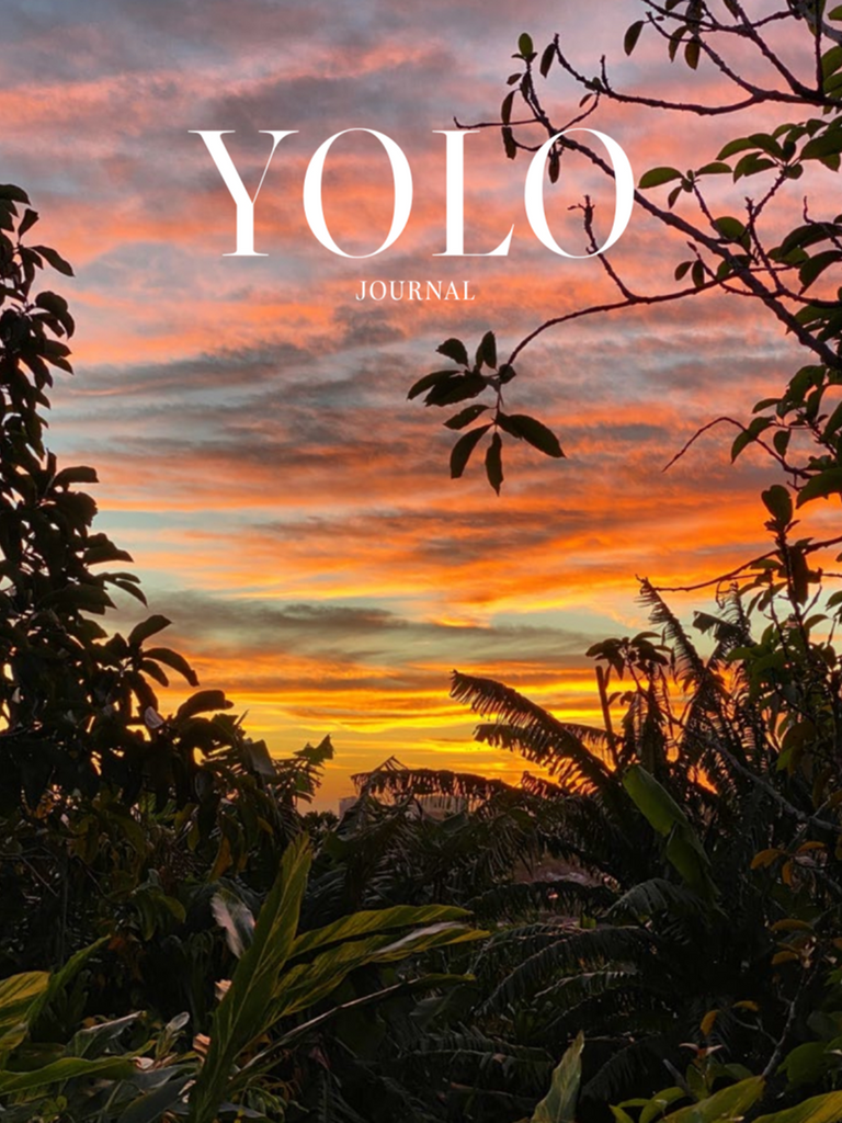 Yolo Journal Issue 17