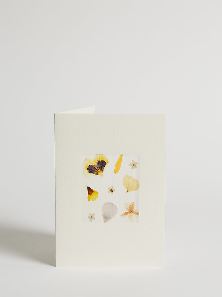 MR Studio London Pressed Flower Cards with Mixed Flowers in Rectangular Window